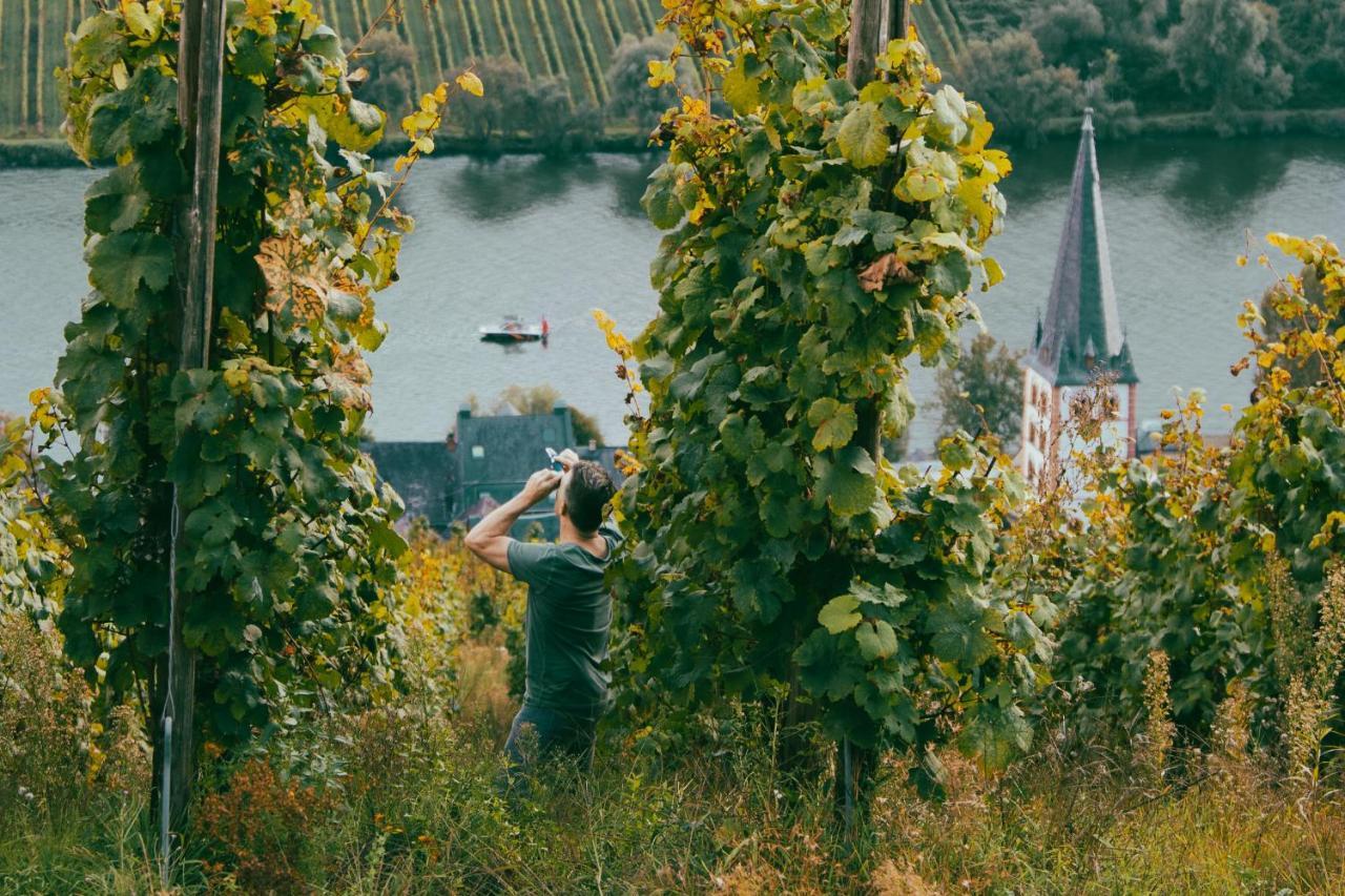 Boutique Guesthouse Das Wohlgemuth Heim Mosel Weingut Zell an der Mosel Exterior photo