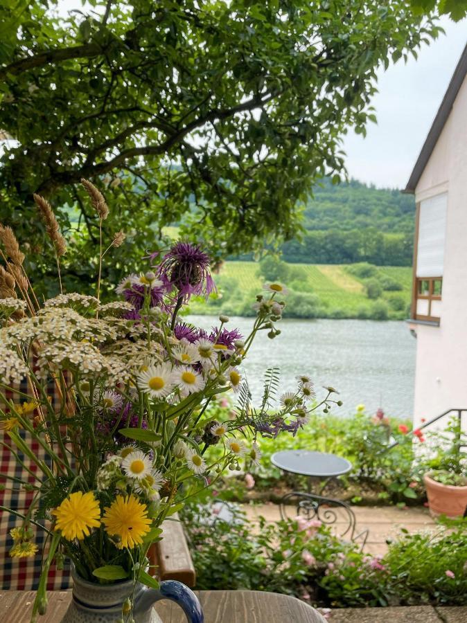 Boutique Guesthouse Das Wohlgemuth Heim Mosel Weingut Zell an der Mosel Exterior photo