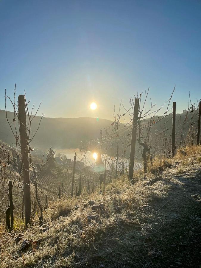 Boutique Guesthouse Das Wohlgemuth Heim Mosel Weingut Zell an der Mosel Exterior photo
