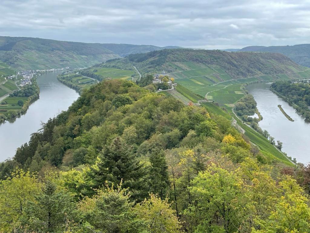 Boutique Guesthouse Das Wohlgemuth Heim Mosel Weingut Zell an der Mosel Exterior photo