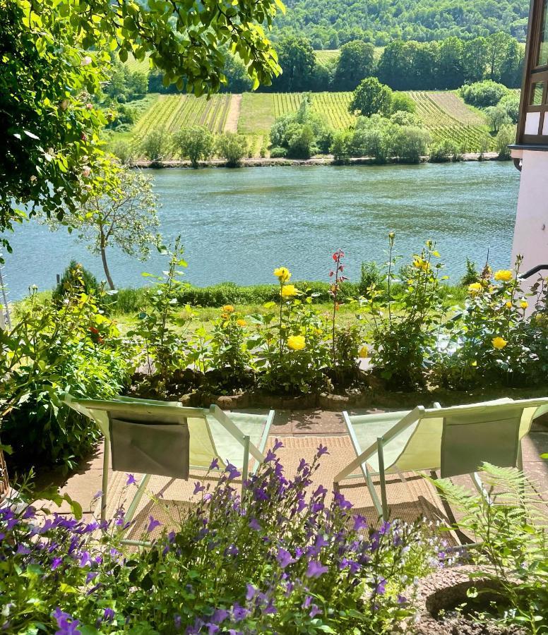 Boutique Guesthouse Das Wohlgemuth Heim Mosel Weingut Zell an der Mosel Exterior photo